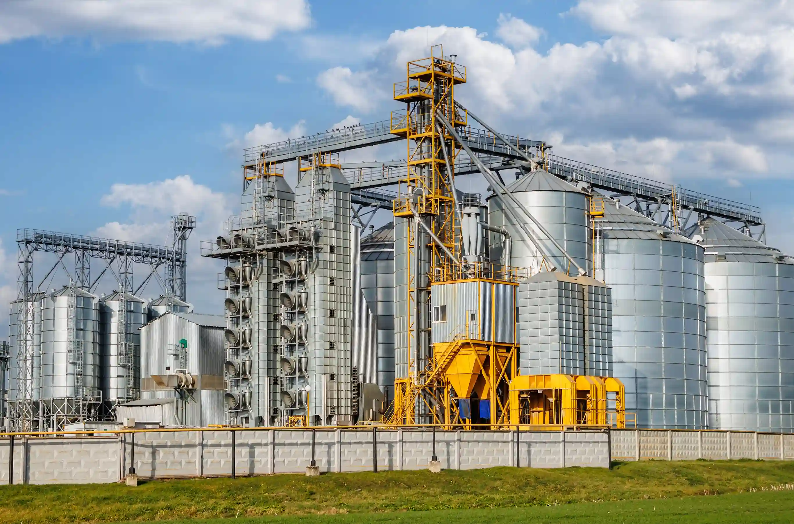 Virtuos Digital (VDC) Success Stories: Manufacturing Industry Fiants implements Asana for IT project excellence with Virtuos Digital