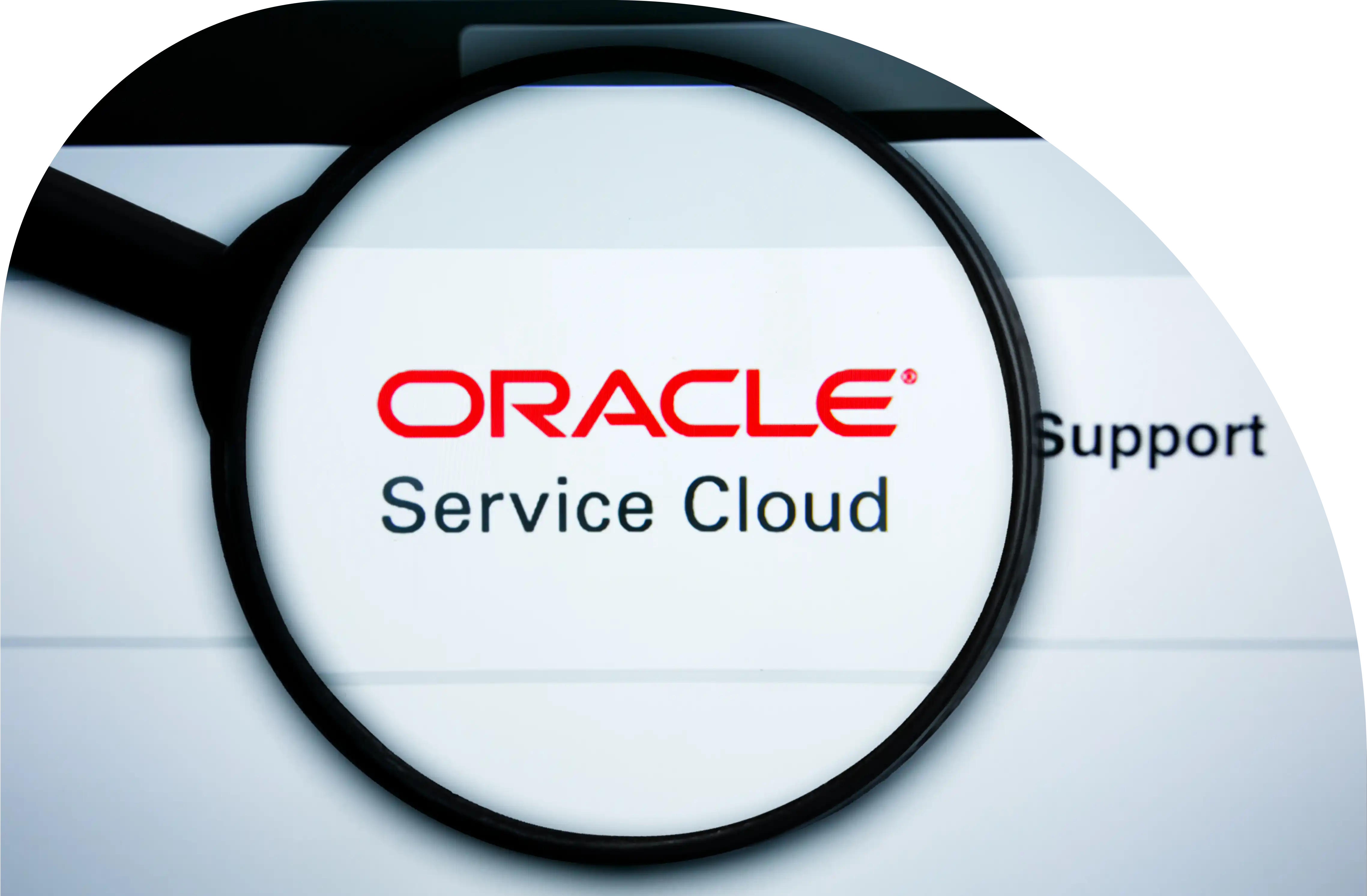 Oracle CX Stable and Fusion XM drive revenue growth with connected services, professional services, and seamless integrations